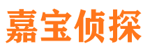 陆河侦探公司